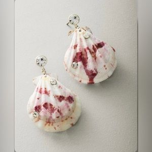 Tommy Bahama Lagoon natural shell drop Earring
